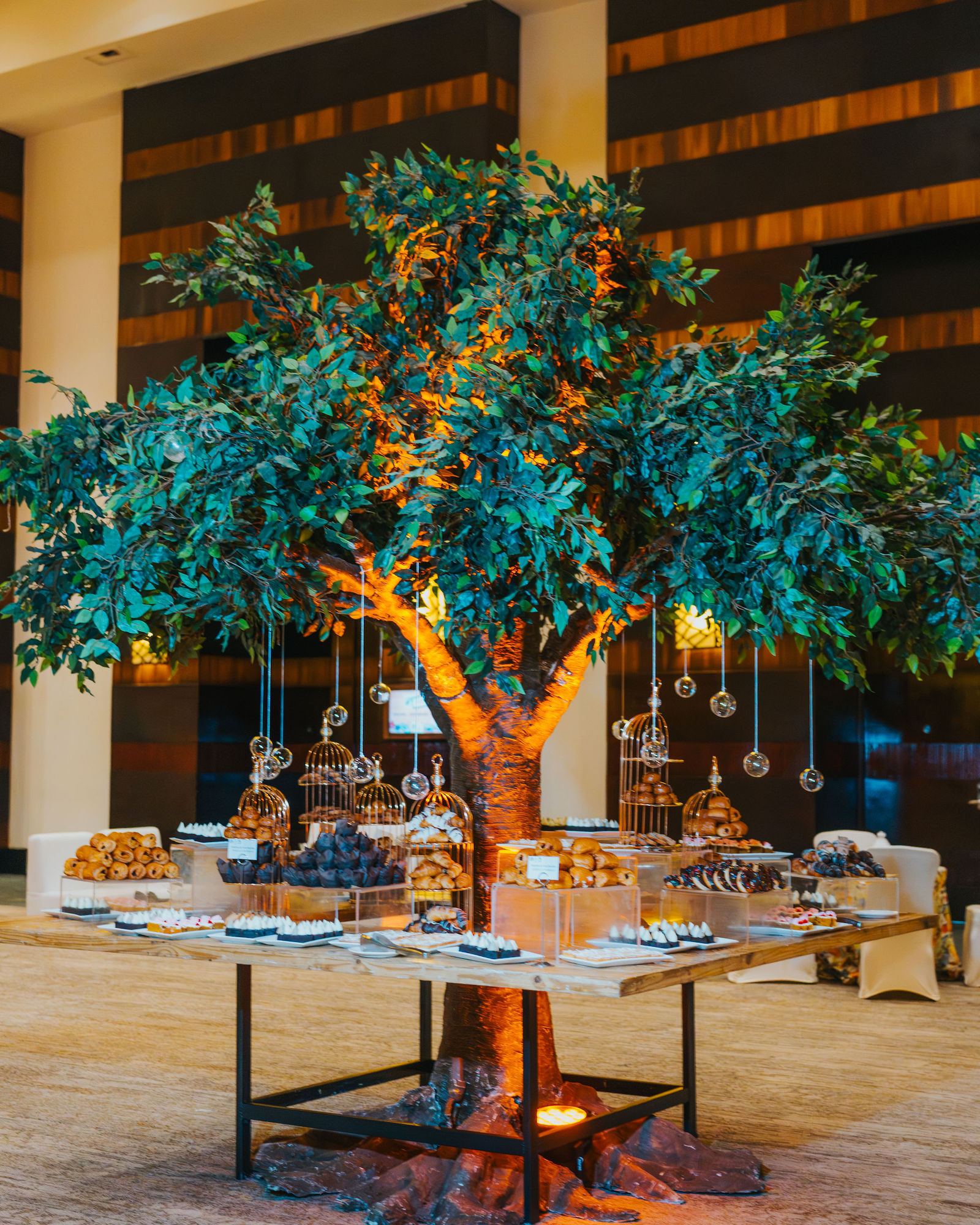 Curated welcome buffet with olive trees and warm lighting